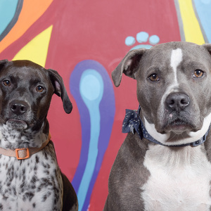 Fundraising Page: Whitney Bryan